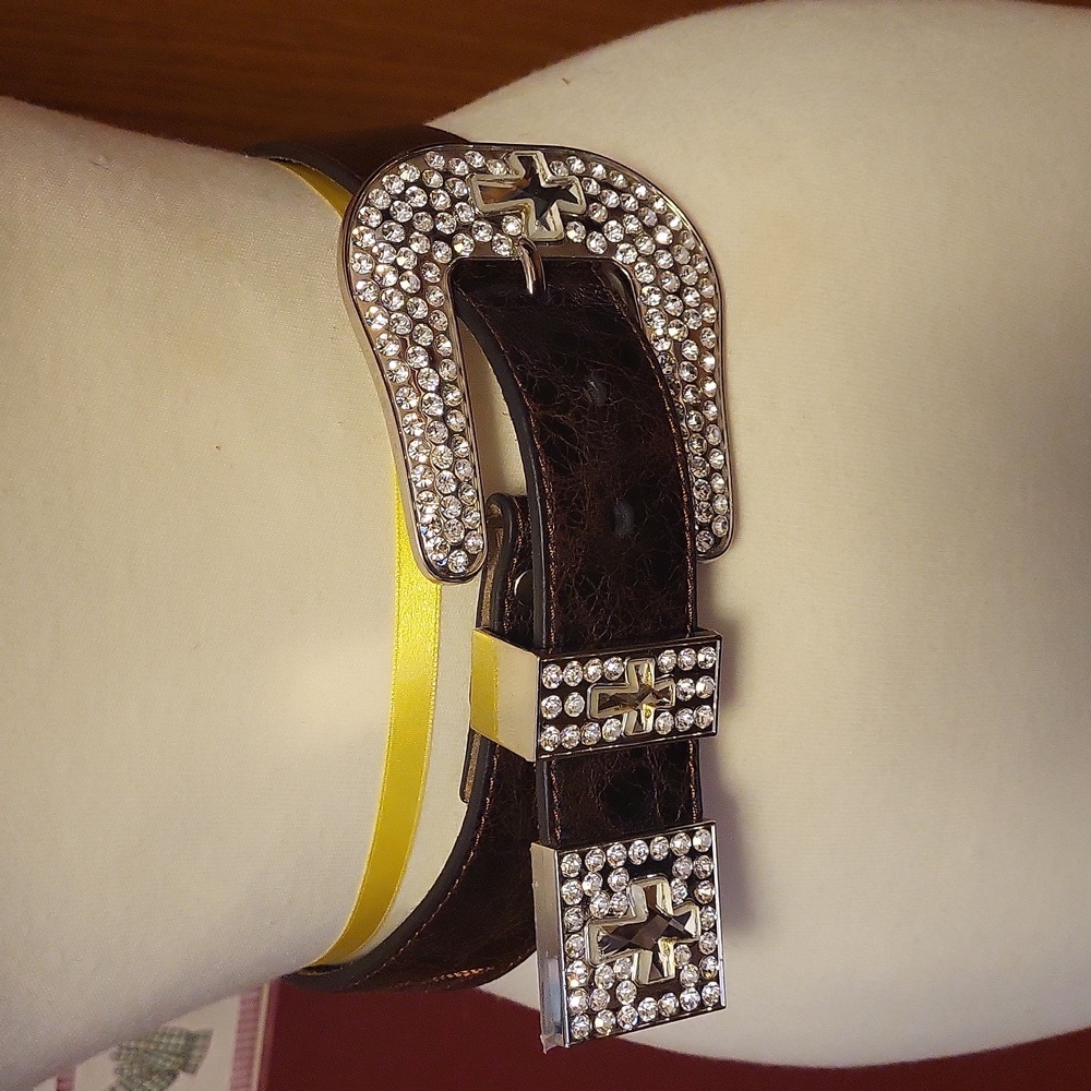 Embellished Brown Belt with Silver Buckle